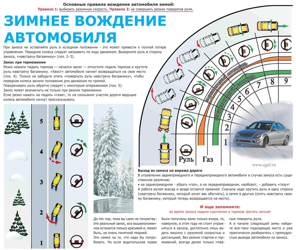 Центр Города - Статья 